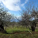 Casa Pancha Prázdninový dům Garafía