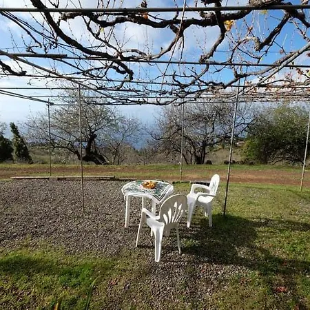 Casa Pancha Holiday home